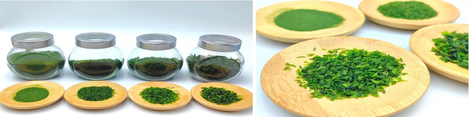 quality Aonori Dried Seaweed factory