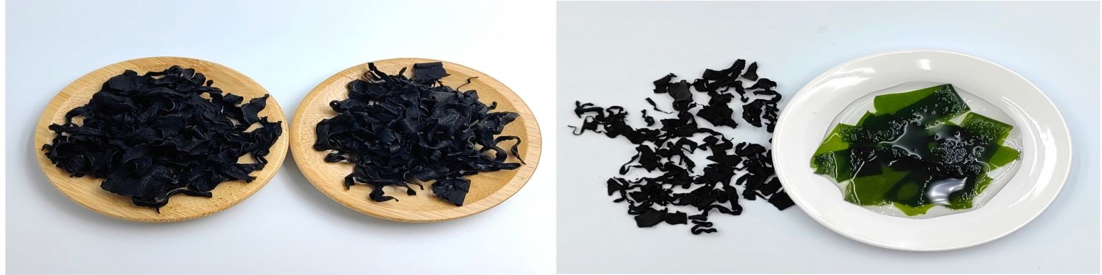 quality Aonori Dried Seaweed factory