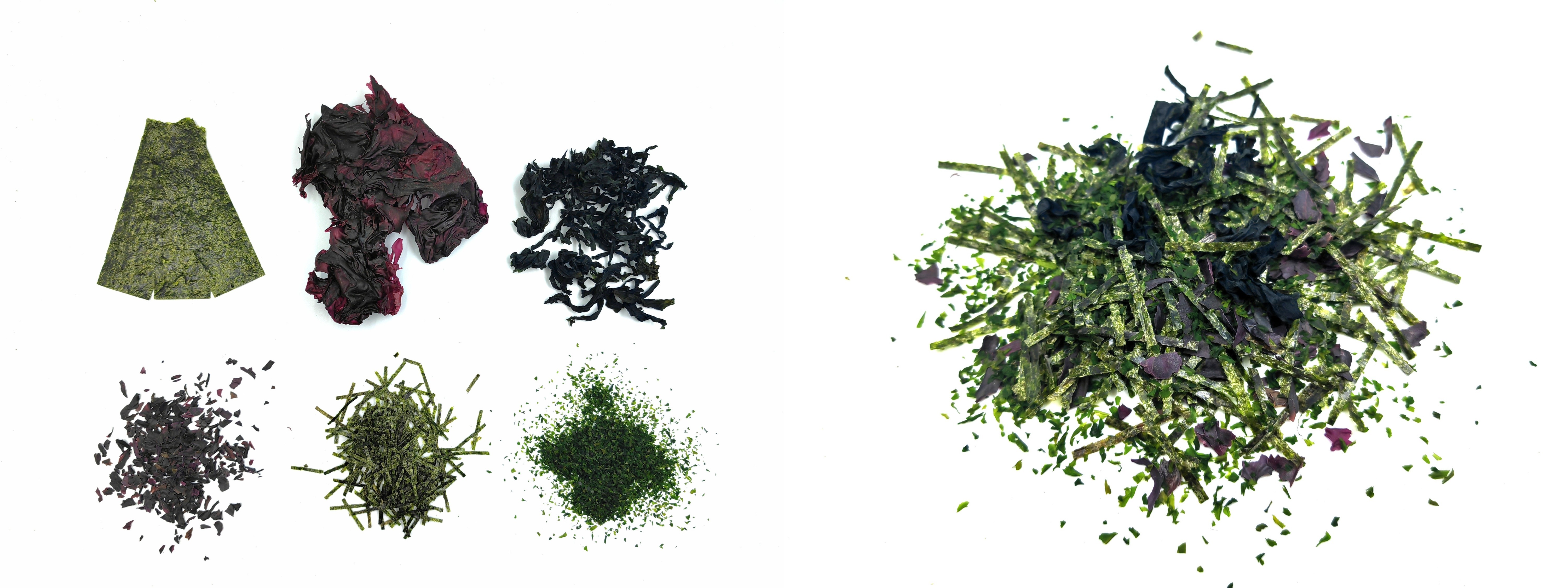 quality Aonori Dried Seaweed factory